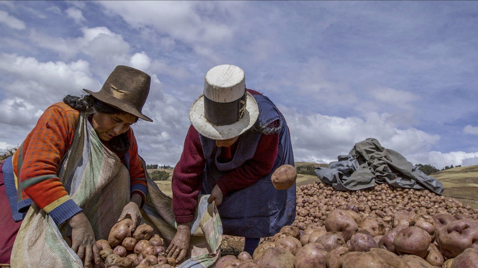 Jolting Reasons to Give  THANKS By Howard Bloom